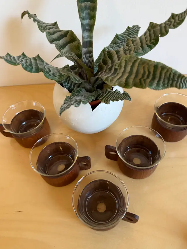 וינטג׳ ורטרו בדנמרק — כוס וצלחת בורוסיליקט עם מחזיקי טיק - Schott Mainz, שנות ה-60. Kitchenware, יד שניה מקופנהגן | דייניש | Field Notes & Finds