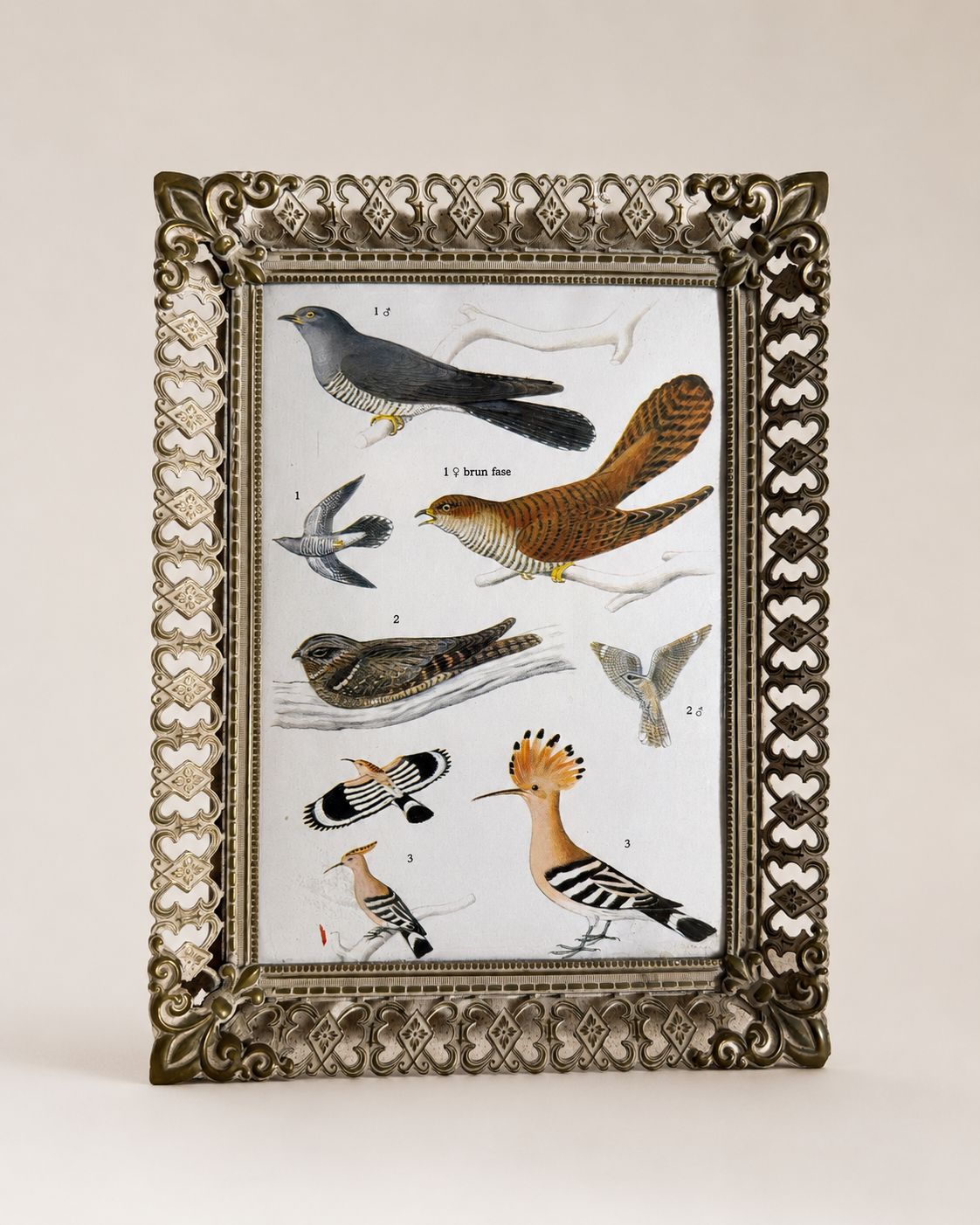 וינטג׳ ורטרו בדנמרק — מסגרת תמונה ממתכת. Decor, יד שניה מקופנהגן | דייניש | Field Notes & Finds