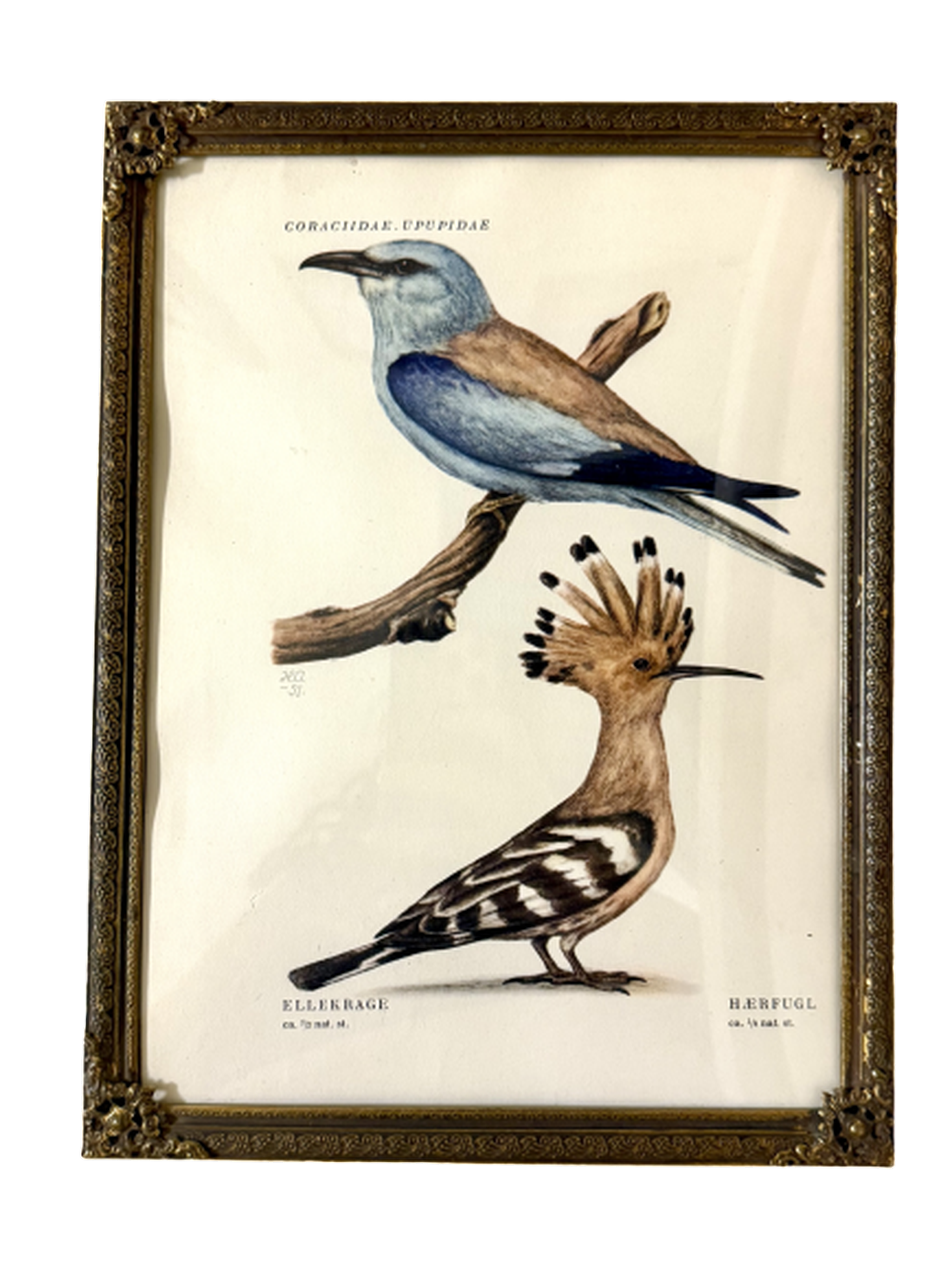 וינטג׳ ורטרו בדנמרק — מסגרת תמונה ממתכת. Decor, יד שניה מקופנהגן | דייניש | Field Notes & Finds