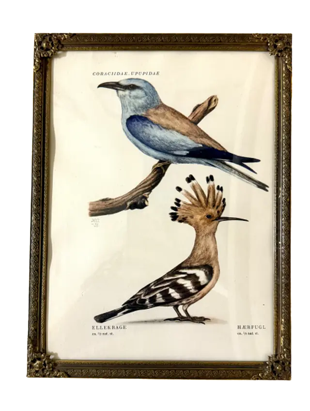 וינטג׳ ורטרו בדנמרק — מסגרת תמונה ממתכת. Decor, יד שניה מקופנהגן | דייניש | Field Notes & Finds