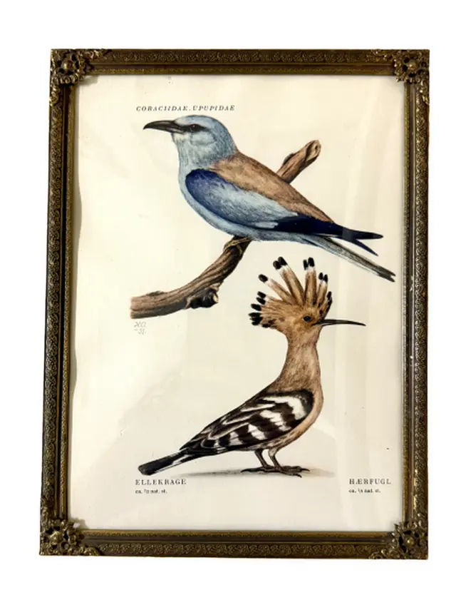 וינטג׳ ורטרו בדנמרק — מסגרת תמונה ממתכת. Decor, יד שניה מקופנהגן | דייניש | Field Notes & Finds